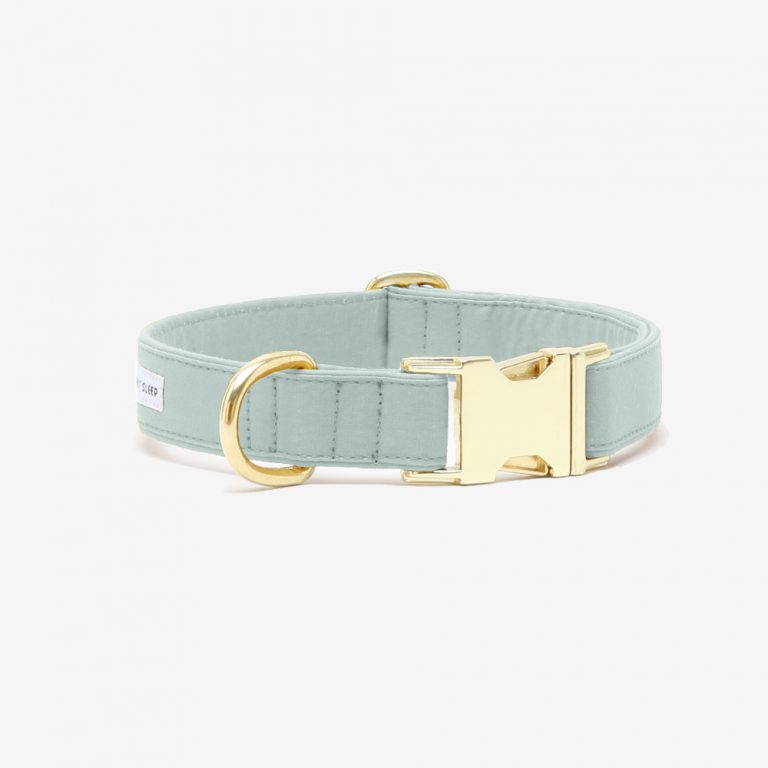 Dog Collar Color Pop Mint Green - See Scout Sleep M