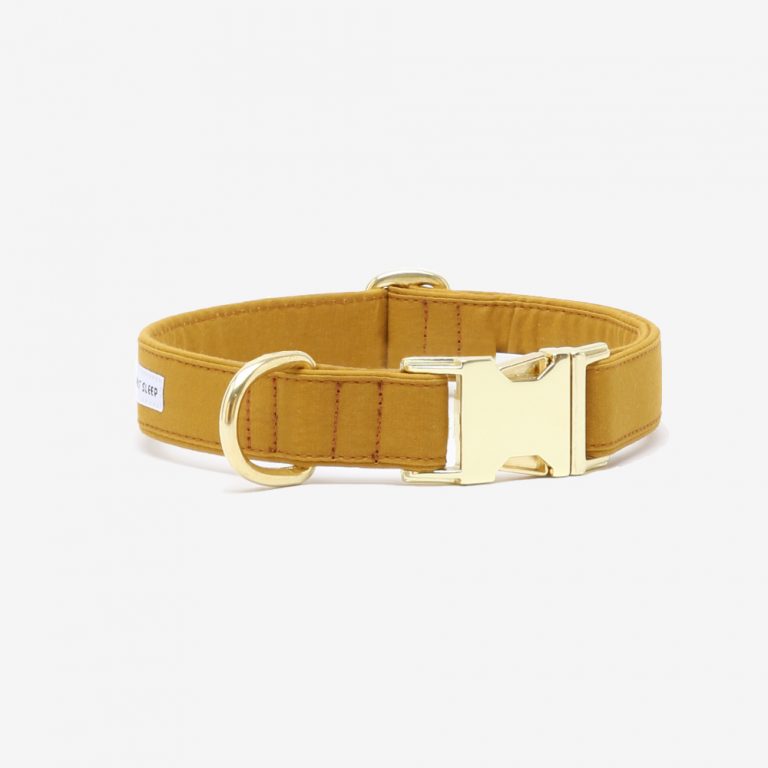 Hundhalsband Color Pop Senapsgul - See Scout Sleep L