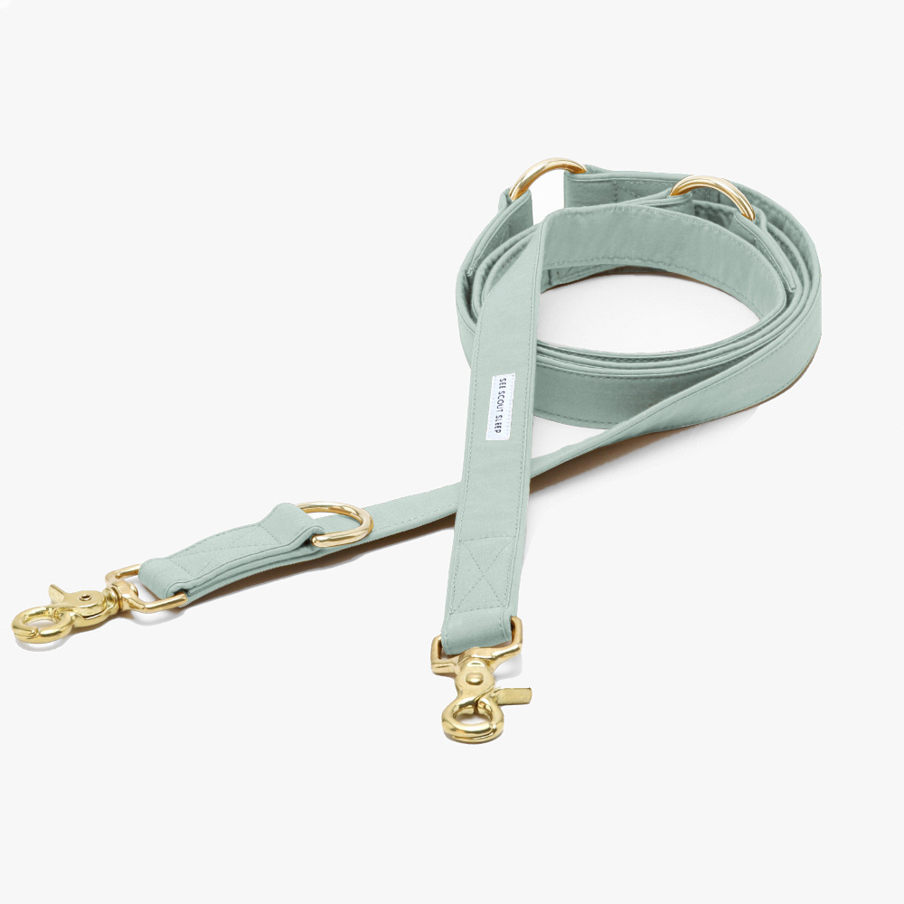 Adjustable Dog Leash Color Pop Mint Green - See Scout Sleep L