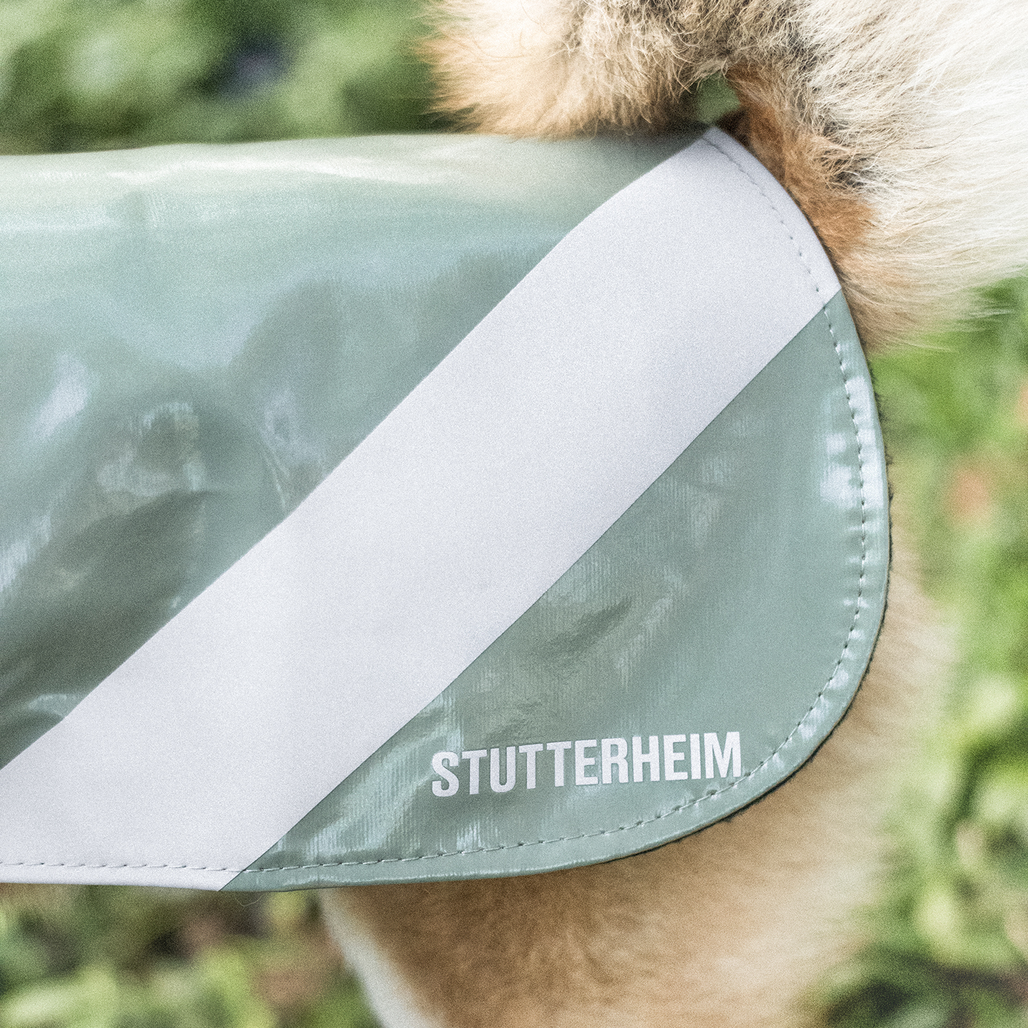 Stutterheim dog coat hot sale