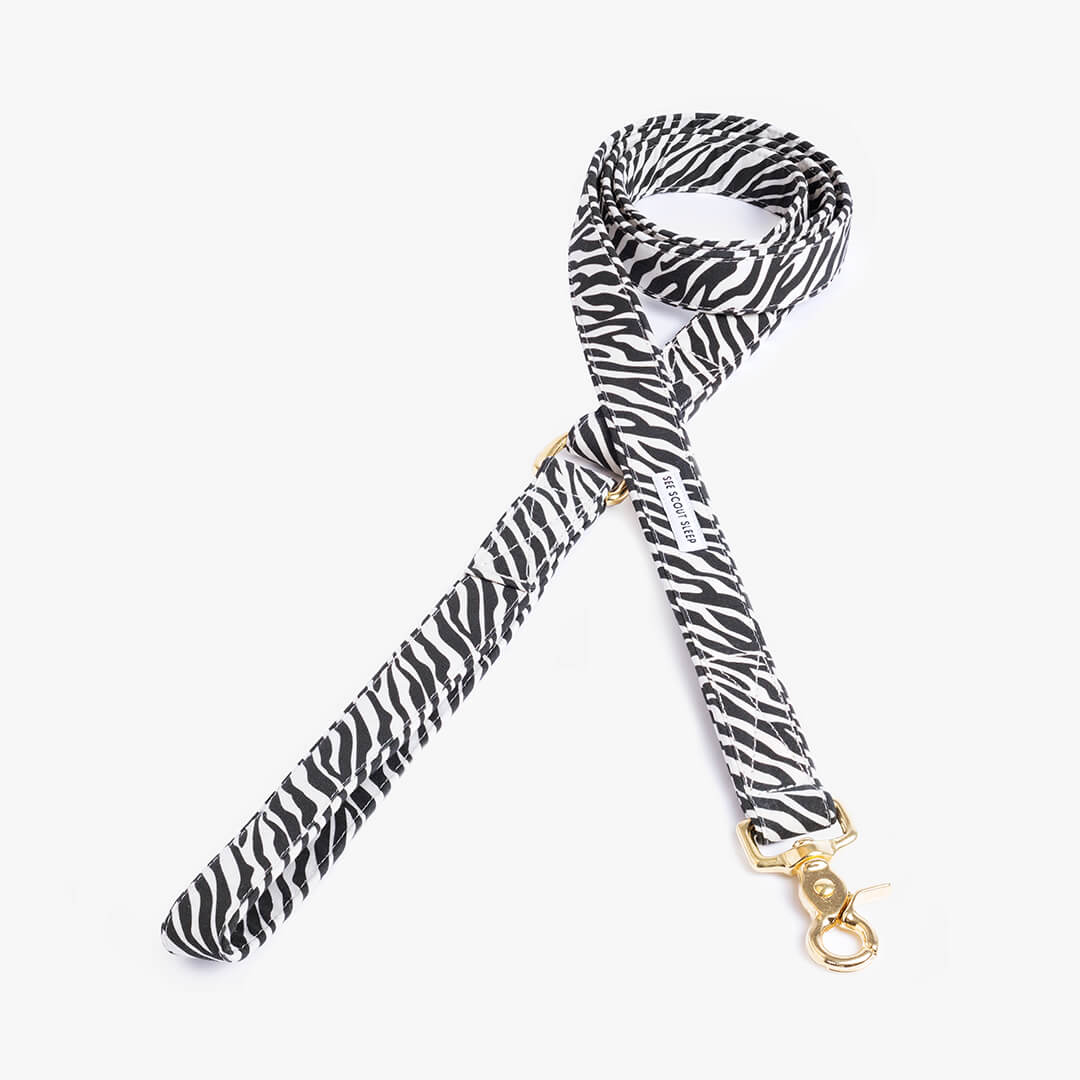 Hundkoppel Color Pop City Zebra - See Scout Sleep S