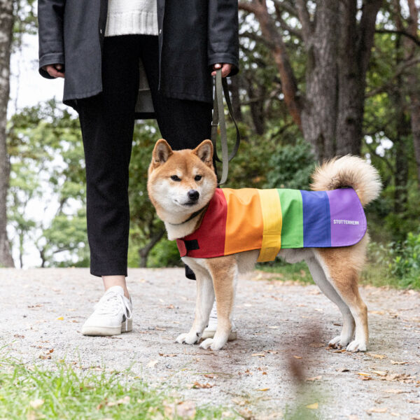 Hund i regnbågsfärgat regntäcke från Stutterheim