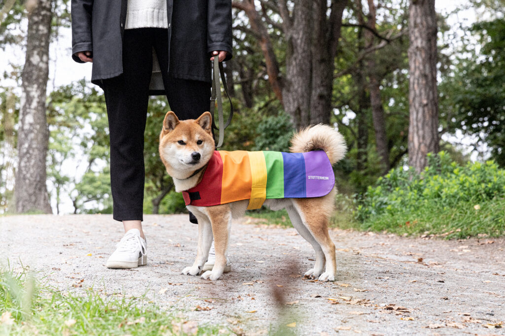 Hund i regnbågsfärgat regntäcke