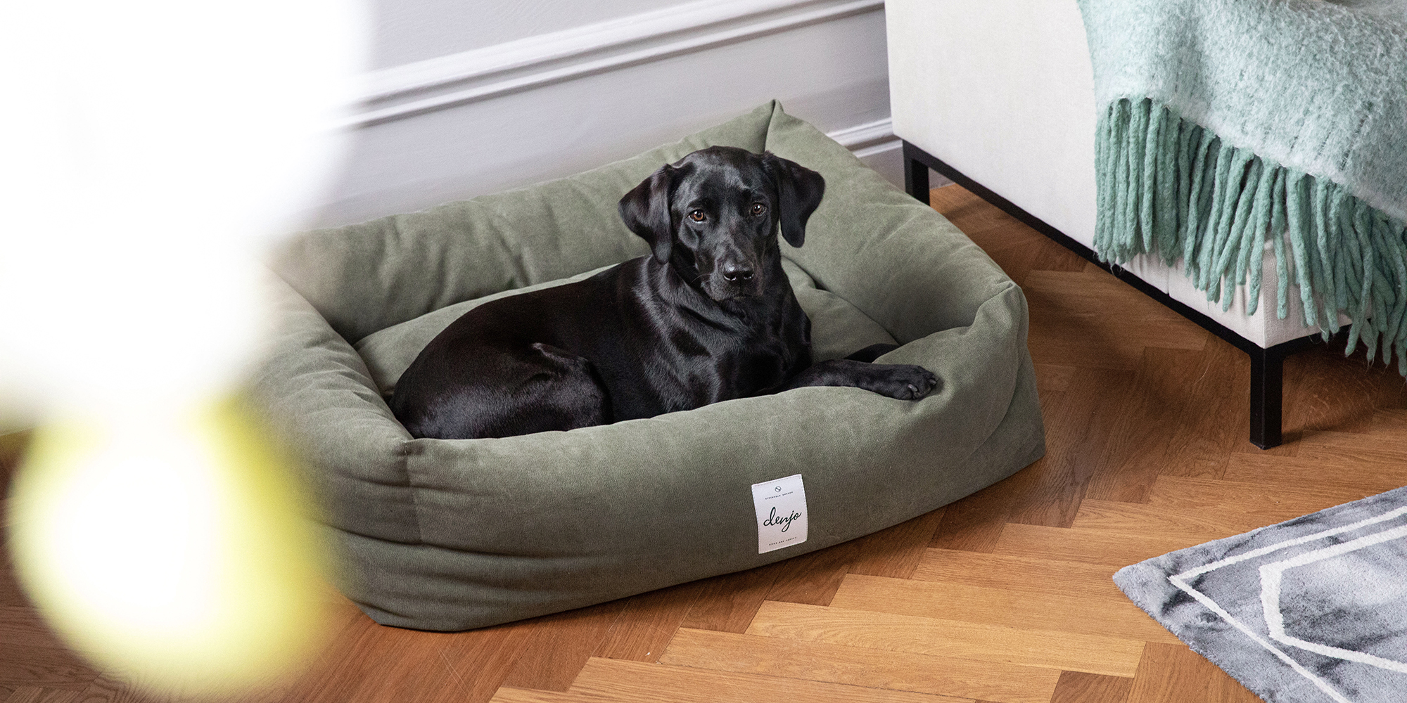 Luxury Dog Beds  Designer Dog Collars, Leads & Accessories UK